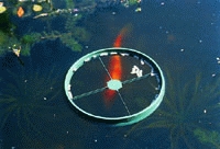 Haletető gyűrű UBBINK kerti tó halainak