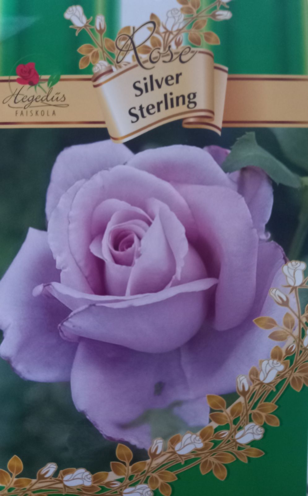 Ezüstös Magastörzsű rózsa "Silver Sterling"